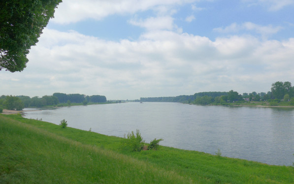 ...und den Rhein liegt ganz nah!